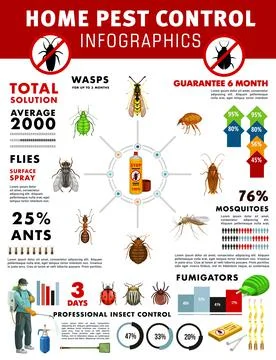 Pest control service infographics with graphs Stock Illustration