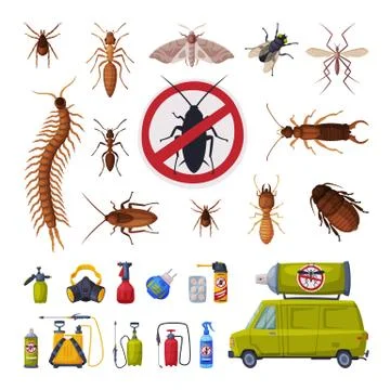 Pest Control Service Set, Harmful Insects Exterminating and Protecting Equipment Illustration