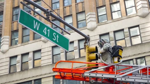 Pest control service worker in protective clothing suit removes wasp nest Stock Footage 276137119