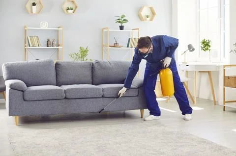 Pest control service worker spraying toxic liquid on sofa infested with bed bugs Stock Photos
