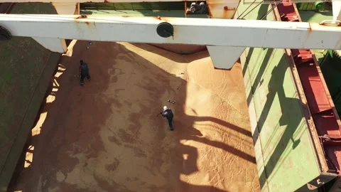 Pest control service workers doing fumigation in cargo hold of grain bulker ship Stock Footage 198205943