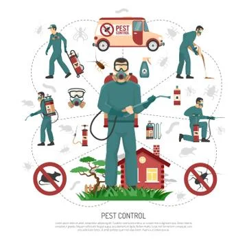 Pest Control Services Flat Infographic Poster Illustration