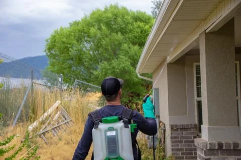 Pest control spray Stock Photos