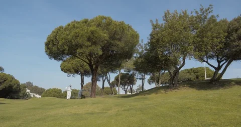 Pest control spraying in Pine tree with biological insecticide (Shot C) Stock Footage 103289392