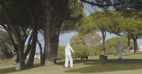 Pest control spraying in Pine tree with biological insecticide (Shot E) Stock Footage 103289541