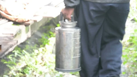 Pest control spraying termite Stock Footage 85722761