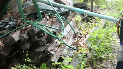 Pest control spraying termite Stock Footage 85723492