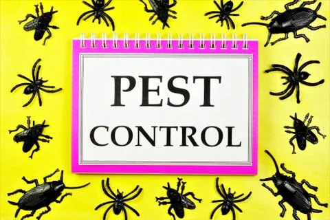 Pest control is a system of measures of extermination activities Stock Photos