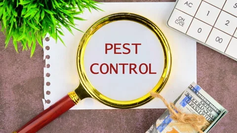 PEST CONTROL text animation Stock Footage 276295236