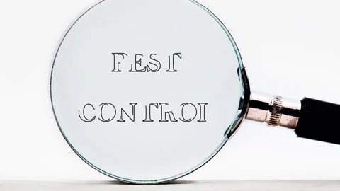 PEST CONTROL words they appear through a magnifying glass on a light background Stock Footage 317992489