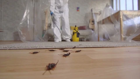 Pest control worker with sprayer standing at home Stock Footage 112245802