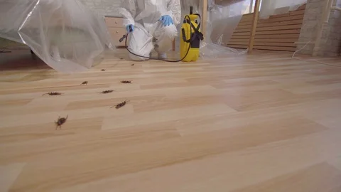 Pest control worker with sprayer standing at home and under the couch Stock Footage 112723231