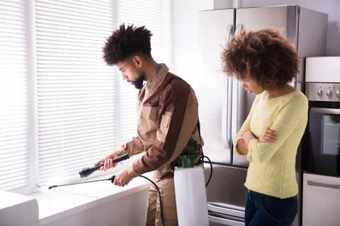 Pest Control Worker Spraying Insecticide On Window Sill Stock Photos