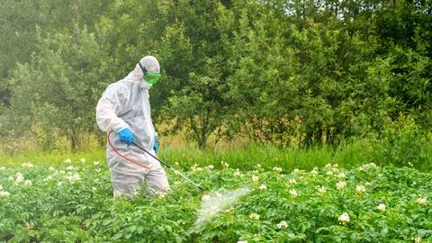 Pest control worker spraying insecticides or pesticides outdoors. The topic.. Stock Photos