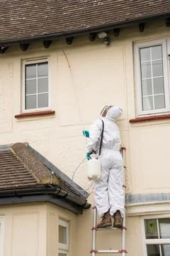 Pest Controller in protective clothing spraying wasp killer treatment. Stock Photos