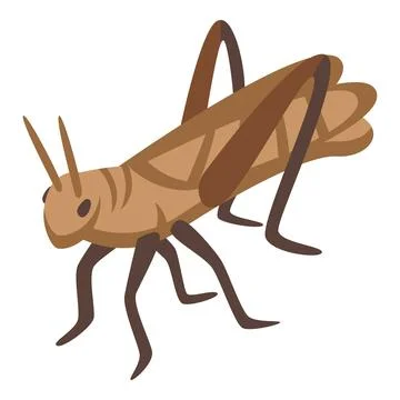 Pest insect icon isometric vector. Brown grasshopper Illustrazione stock