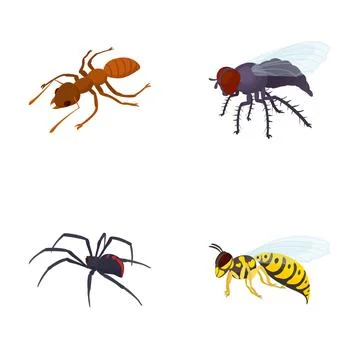 Pest problem set displaying common household insects and arachnids Illustrazione stock