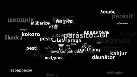 Pest Translated in 60 Worldwide Languages Endless Looping 3d Zooming Wordclou Stock-Footage 145223521