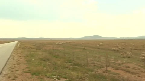 Pester Stockbeeldmateriaal 282578079