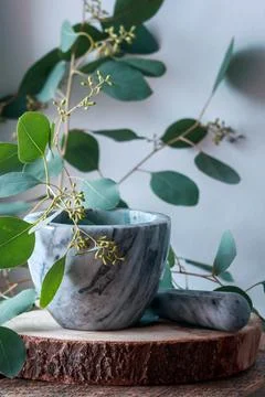 Pestle and mortar on a rustic background. Stock Photos