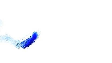 Pet 4 스톡 동영상 92193910