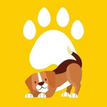 Pet and veterinary Illustrazione stock