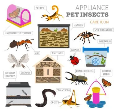 Pet appliance icon set flat style isolated on white. Insects care collection. Stock Illustration