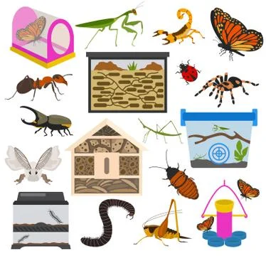 Pet appliance icon set flat style isolated on white. Insects care collection. Stock Illustration