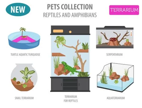 Pet appliance icon set flat style isolated on white. Reptiles and amphibians  Stock Illustration