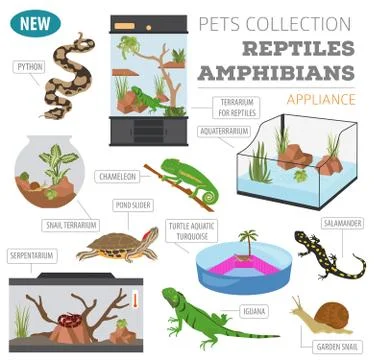 Pet appliance icon set flat style isolated on white. Reptiles and amphibians  Stock Illustration