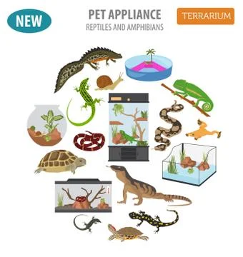 Pet appliance icon set flat style isolated on white. Reptiles and amphibians  Stockillustratie