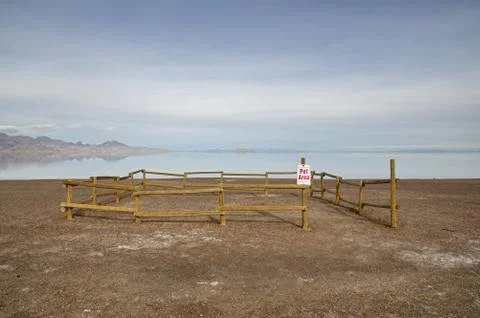 Pet Area Stock Photos