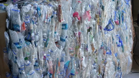 PET Bottle being Recycled Stock Footage 165242134