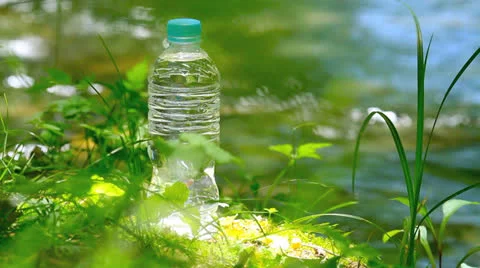Pet bottle of pure drink in forest.+sound Stock Footage 24642785