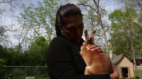 Pet bunny Stock Footage 22935208