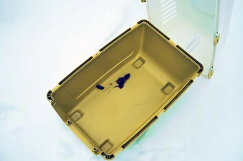 Pet cage needs to be cleaned Stock Photos