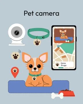 Pet camera system featuring a Chihuahua resting in a pet bed, a smartphone Stock Illustration
