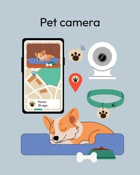 Pet camera system featuring a sleeping Corgi, a smartphone displaying a live Stock Illustration