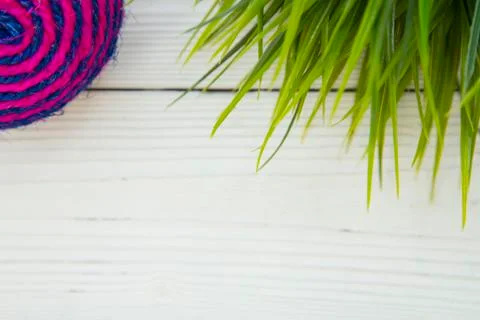 Pet care background Stock Photos