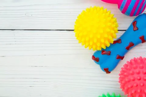 Pet care background Stock Photos