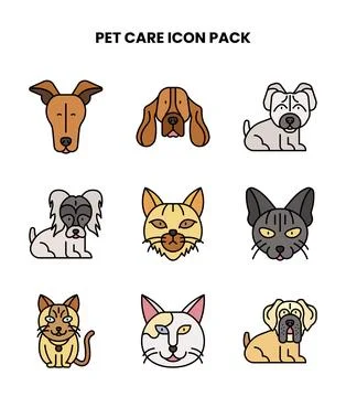 Pet Care Lineal Color Collection Icons Pack Stock Illustration