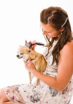 Pet caring Foto stock