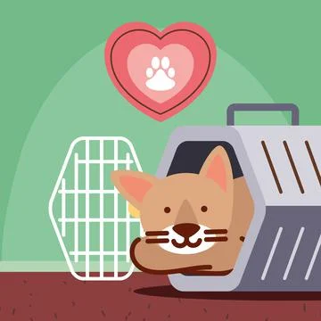 Pet cat on case Illustration