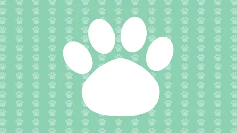 PET CAT MASCOT ABSTRACT BACKGROUND Stock Footage 201141364