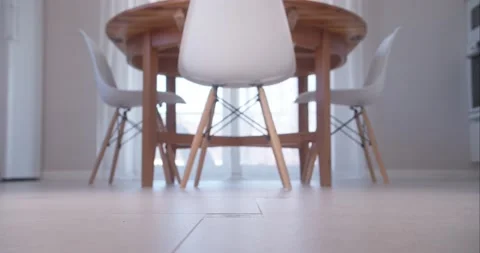 Pet Cat Running From Kitchen Into the Room Video stock 152907982