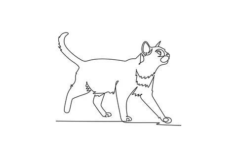 Pet cat walking gracefully forward with raised tail. Feline elegance Ilustração Stock