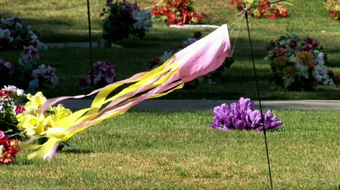 Pet Cemetery Stock Footage 874789