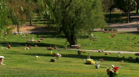 Pet Cemetery Video stock 874971