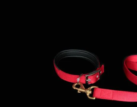 Pet collars with hook on isolated black background. Stock Photos
