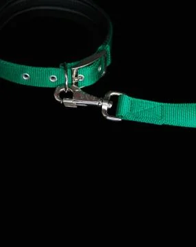 Pet collars with hook on isolated black background.  Pet accessories concept Stock Photos